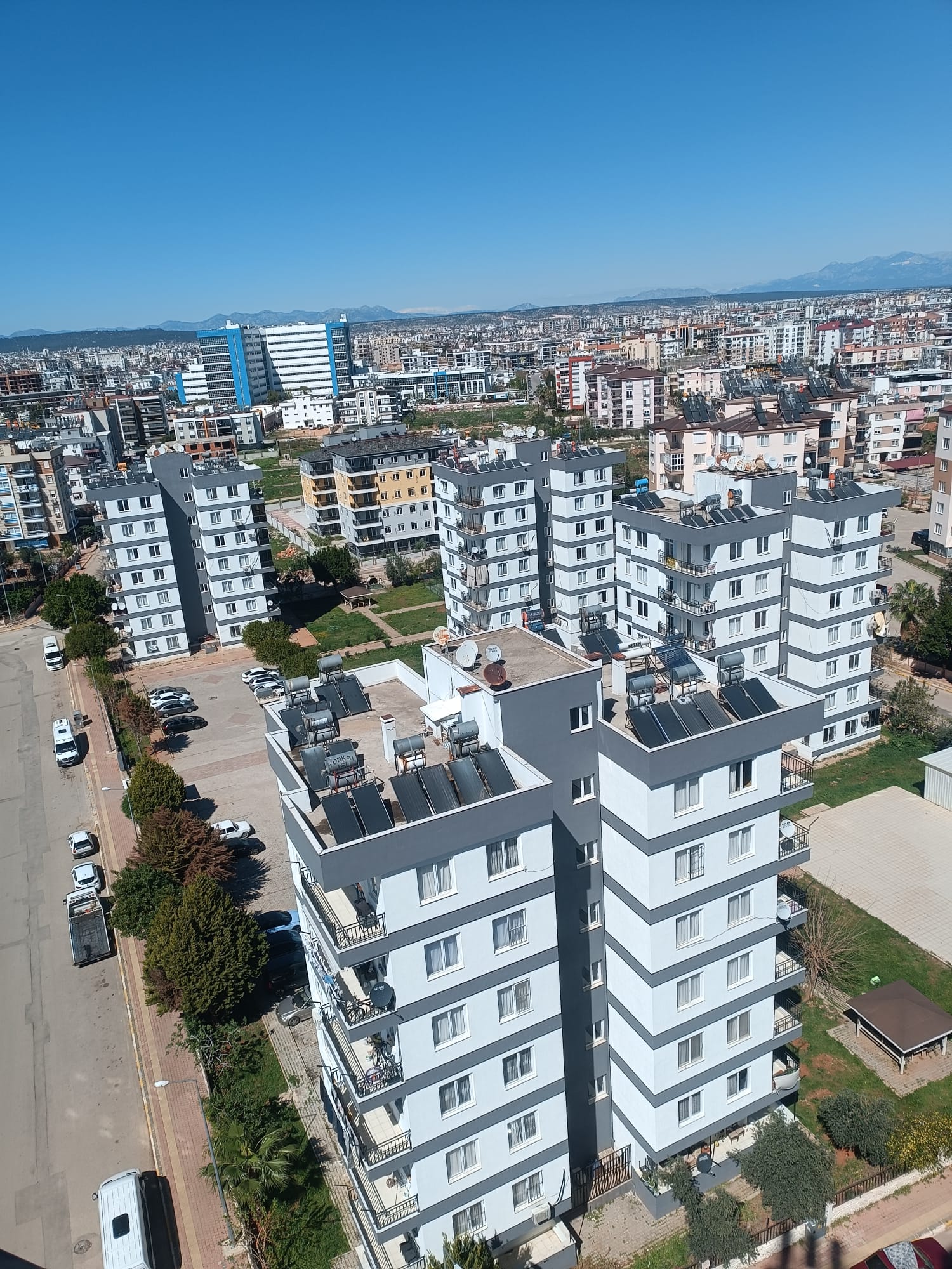 Dekoratif Sıva Uygulaması